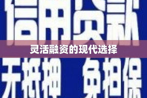 阳谷灵活融资的现代选择
