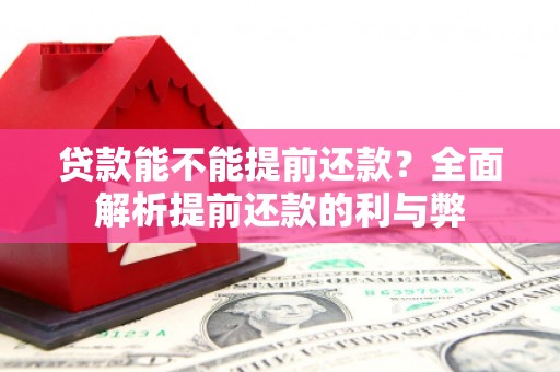 阳谷贷款能不能提前还款？全面解析提前还款的利与弊