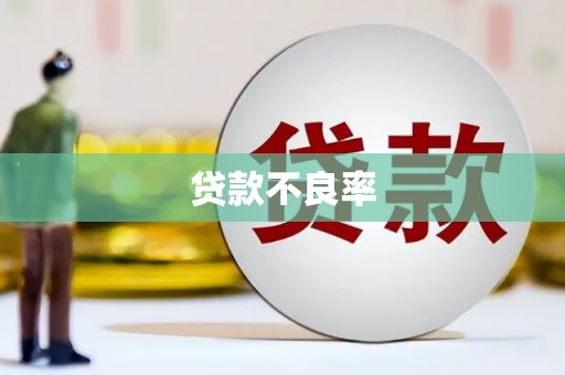 阳谷贷款不良率