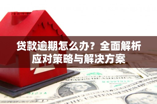 阳谷贷款逾期怎么办？全面解析应对策略与解决方案