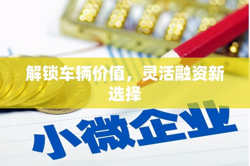 阳谷解锁车辆价值，灵活融资新选择
