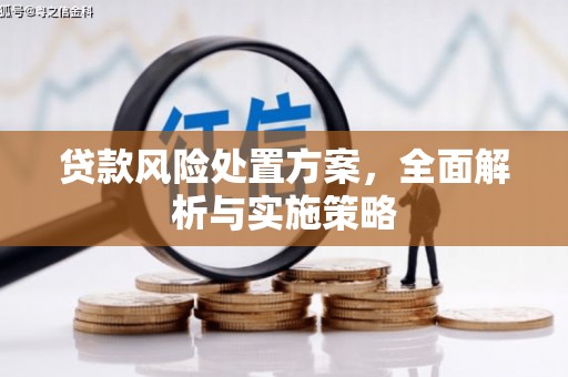 阳谷贷款风险处置方案，全面解析与实施策略