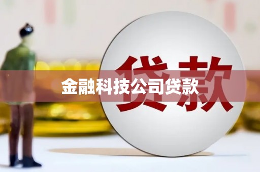 阳谷金融科技公司贷款