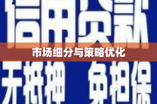 阳谷市场细分与策略优化