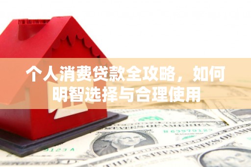 阳谷个人消费贷款全攻略，如何明智选择与合理使用