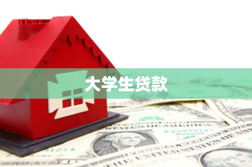 阳谷大学生贷款