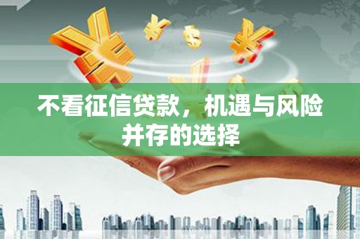 阳谷不看征信贷款，机遇与风险并存的选择