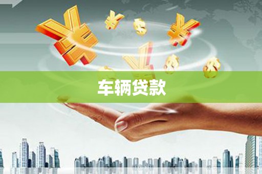 阳谷车辆贷款