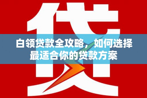 阳谷白领贷款全攻略，如何选择最适合你的贷款方案