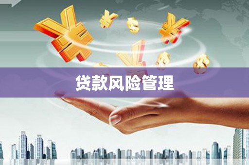 阳谷贷款风险管理