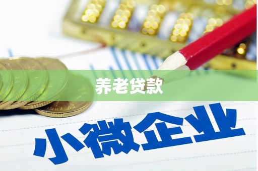 阳谷养老贷款